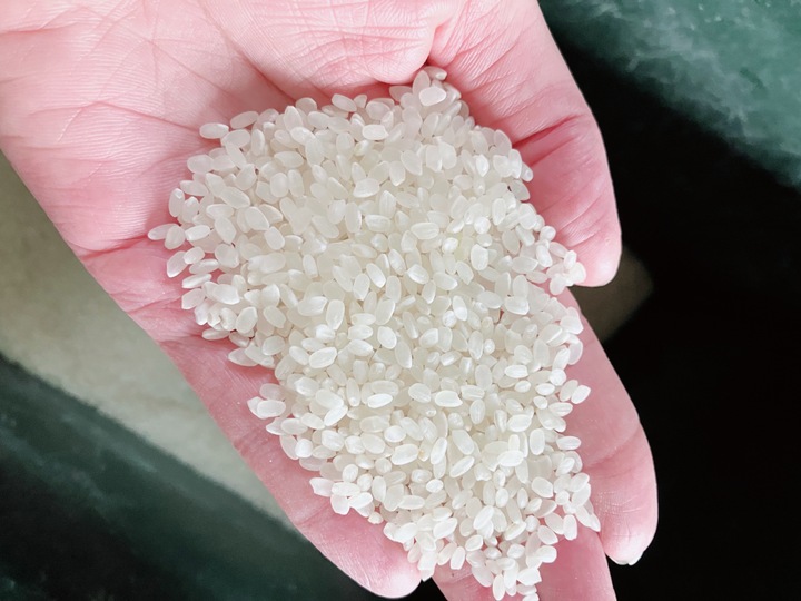 残りわずか☆令和7年新米☆ 徳島県産 コシヒカリ 30キロ 玄米