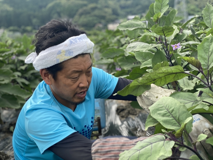 生産者のこだわり