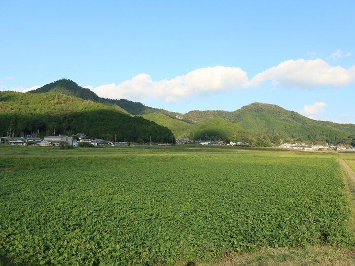 生産者のこだわり