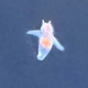 ＯＣＥＡＮ