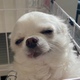みのるん