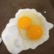 まめたろん