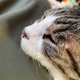 あらっ