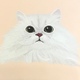 ちいこ