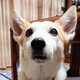 西さん