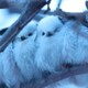 みなぎ88