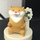 たぬまめた