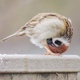 くぅ