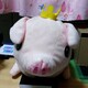 エジひで