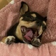 あちゅうなりん
