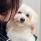 のだくみこ