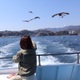 珠世