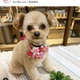 ホッシー