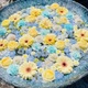 果物大好き