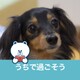 じゅん