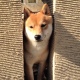 くっちゃん