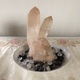 さゆり