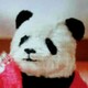 大熊猫姐