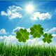 加藤信子🍀