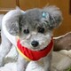 モコピ