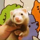 つっこ