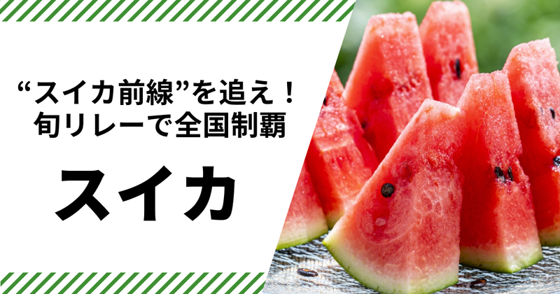 スイカ特集
