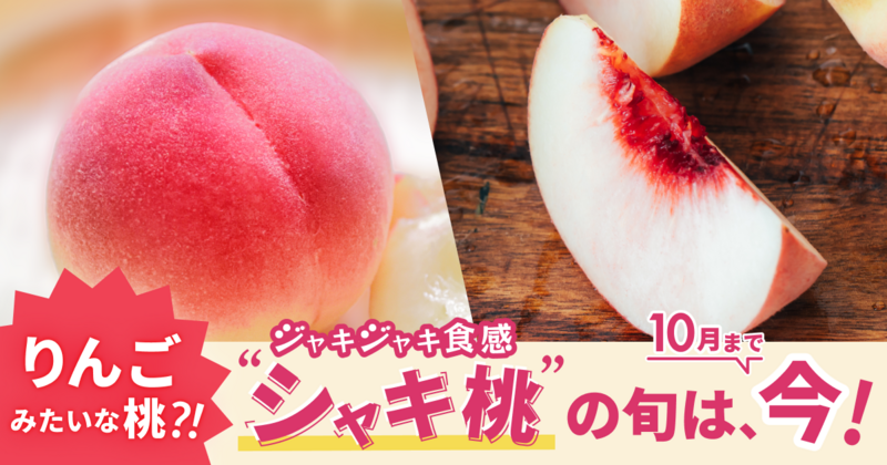 専用商品　チョク様 Sサイズ ＊旬野菜セット(約6~7品)【農薬：栽培期間中不使用