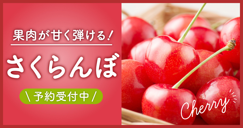 さくらんぼ特集
