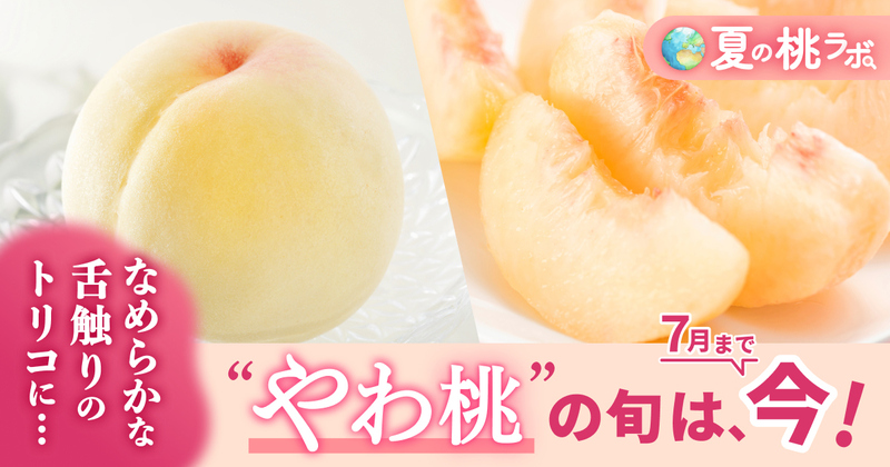 食べチョク｜産地直送(産直)お取り寄せ通販 - 農家・漁師から旬