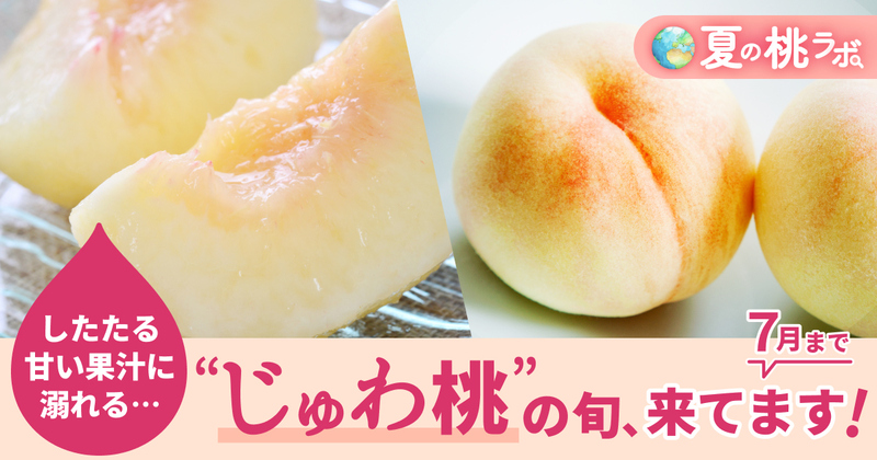桃ラボ