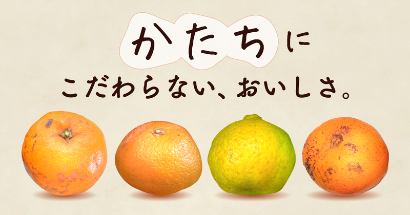【かたちにこだわらない、おいしさ。】訳あり・規格外柑橘
