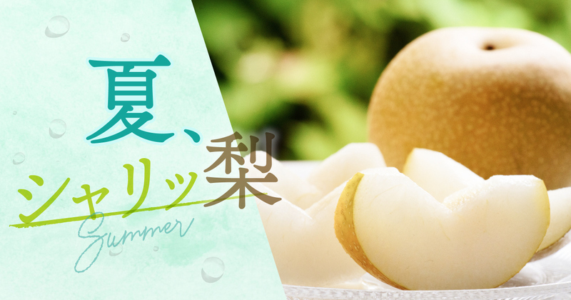 冷やしてとろける“果汁のかたまり”！夏に食べたい梨の魅力をまるごと体験