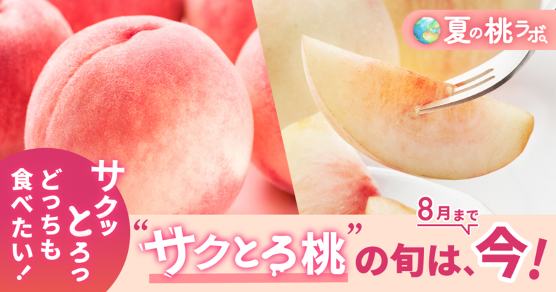 桃ラボ