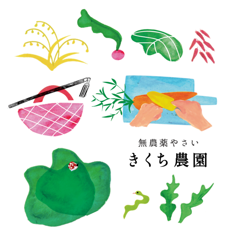 きくち農園の紹介 栃木県 食べチョク 農家 漁師の産直ネット通販 旬の食材を生産者直送