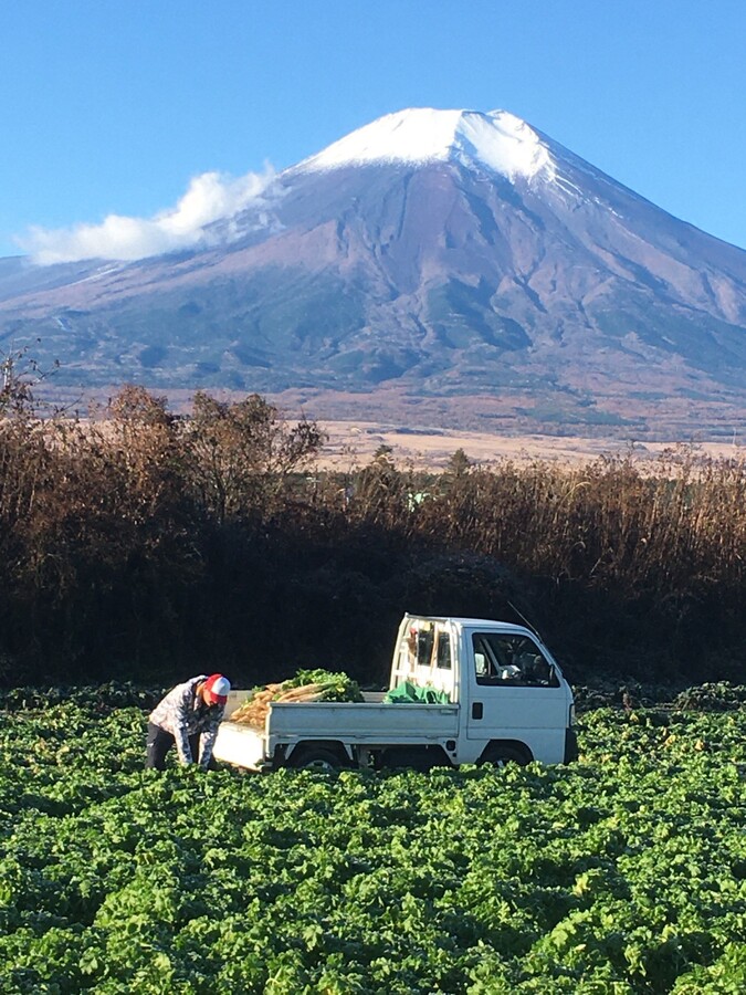 富士山海の家の紹介 山梨県 食べチョク 農家 漁師の産直ネット通販 旬の食材を生産者直送