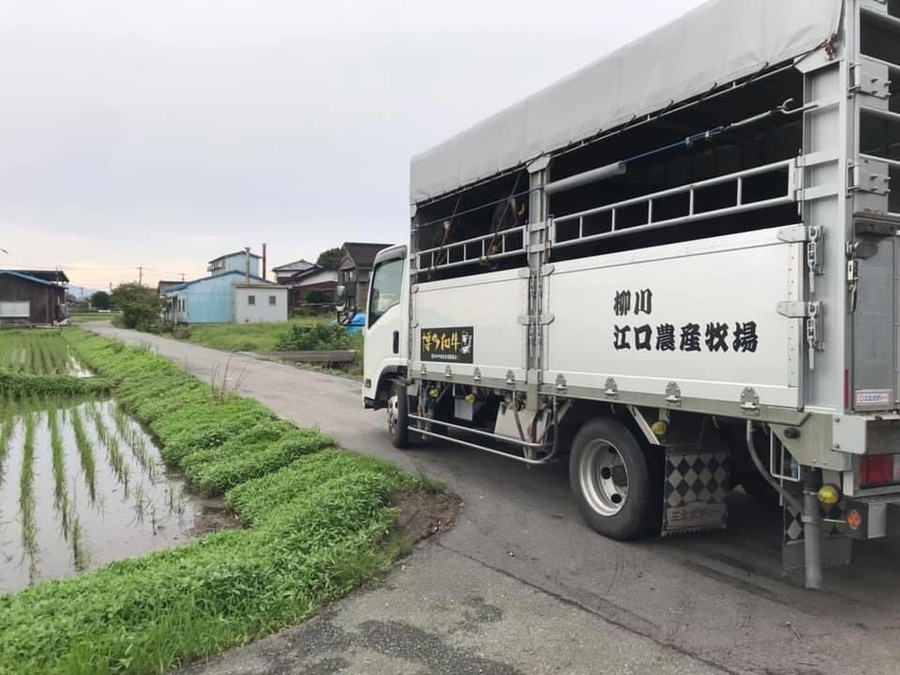 豊作ファームの紹介 福岡県 食べチョク 農家 漁師の産直ネット通販 旬の食材を生産者直送 豊作ファームの紹介 福岡県 食べチョク 農家 漁師の産直ネット通販 旬の食材を生産者直送