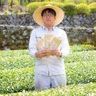 堀江銘茶園