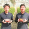 GemFarm