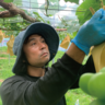 kokochitofarm【ここちとふぁーむ】