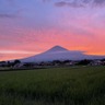 岩田屋本店　農業部