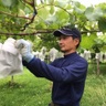 河村農園