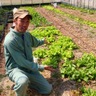 Ryo-2 Farm