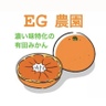 濃い味特化の有田みかん　EG農園