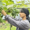 Nini farm