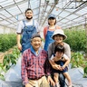 タノウ菜園