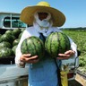 味きらら☆福田農園