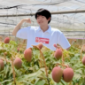 赤嶺農園