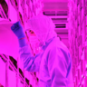 ワールドファーム