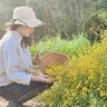 kaoluna farm和草ハーブ農園