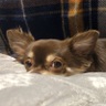サチコ さんのサムネイル